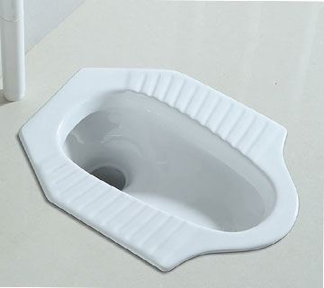 در آوردن اشیا از توالت